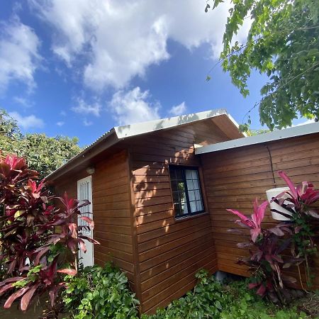Chalet Pittoresque A Le Tampon, Vue Mont. Zewnętrze zdjęcie
